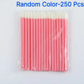 Disposable Hollow Rod Lip Brush Portable Beauty Tool Plush Lipstick Brush Lip Gloss Makeup Brush Specialized Makeup Brush